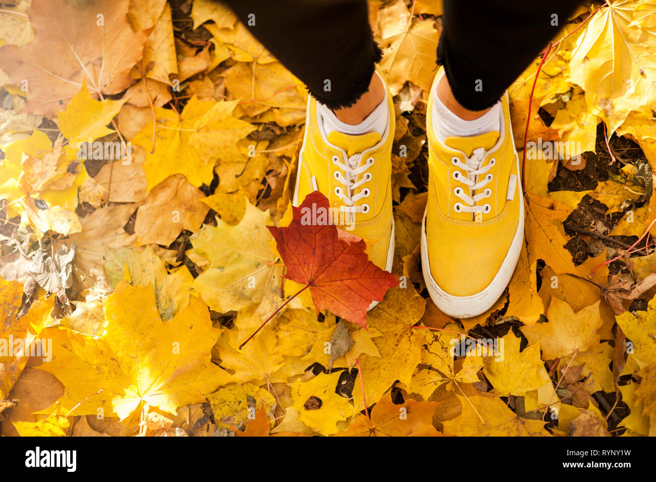 Le gambe di una giovane ragazza in giallo sneakers nel fogliame di autunno Foto Stock