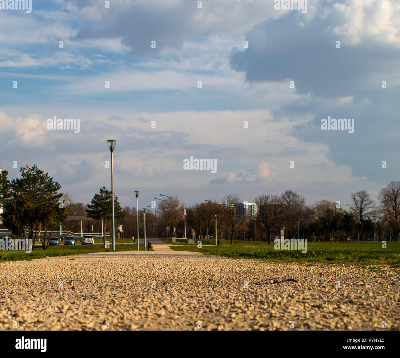 Dalla vista di bug Foto Stock