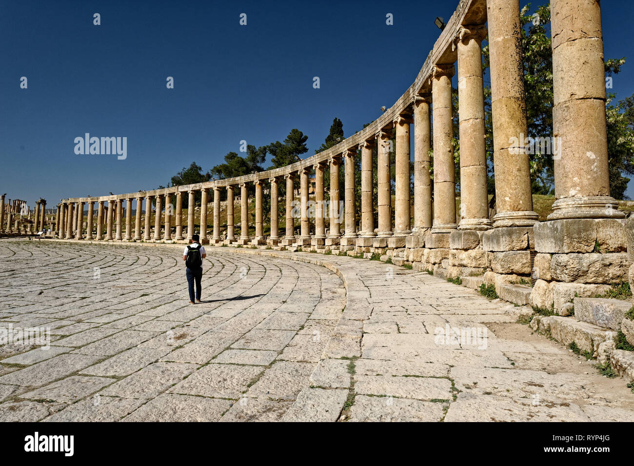 Corte Romana a Jerash, Giordania Foto Stock