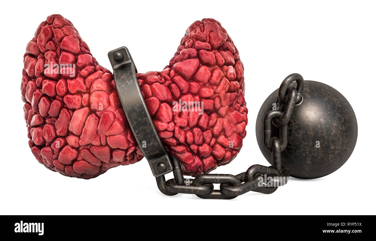 Tiroide umana con la maniglia. Malattie della tiroide concetto. 3D rendering isolati su sfondo bianco Foto Stock