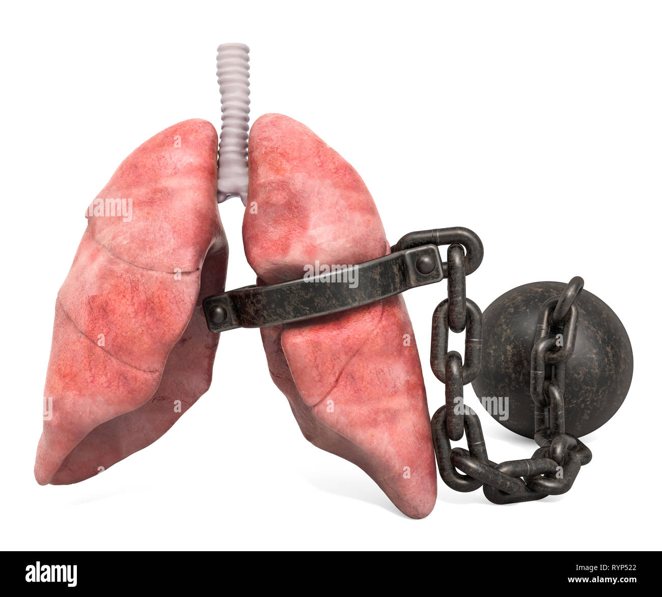 Polmoni concetto di dolore. Polmoni umani con grillo. 3D rendering isolati su sfondo bianco Foto Stock