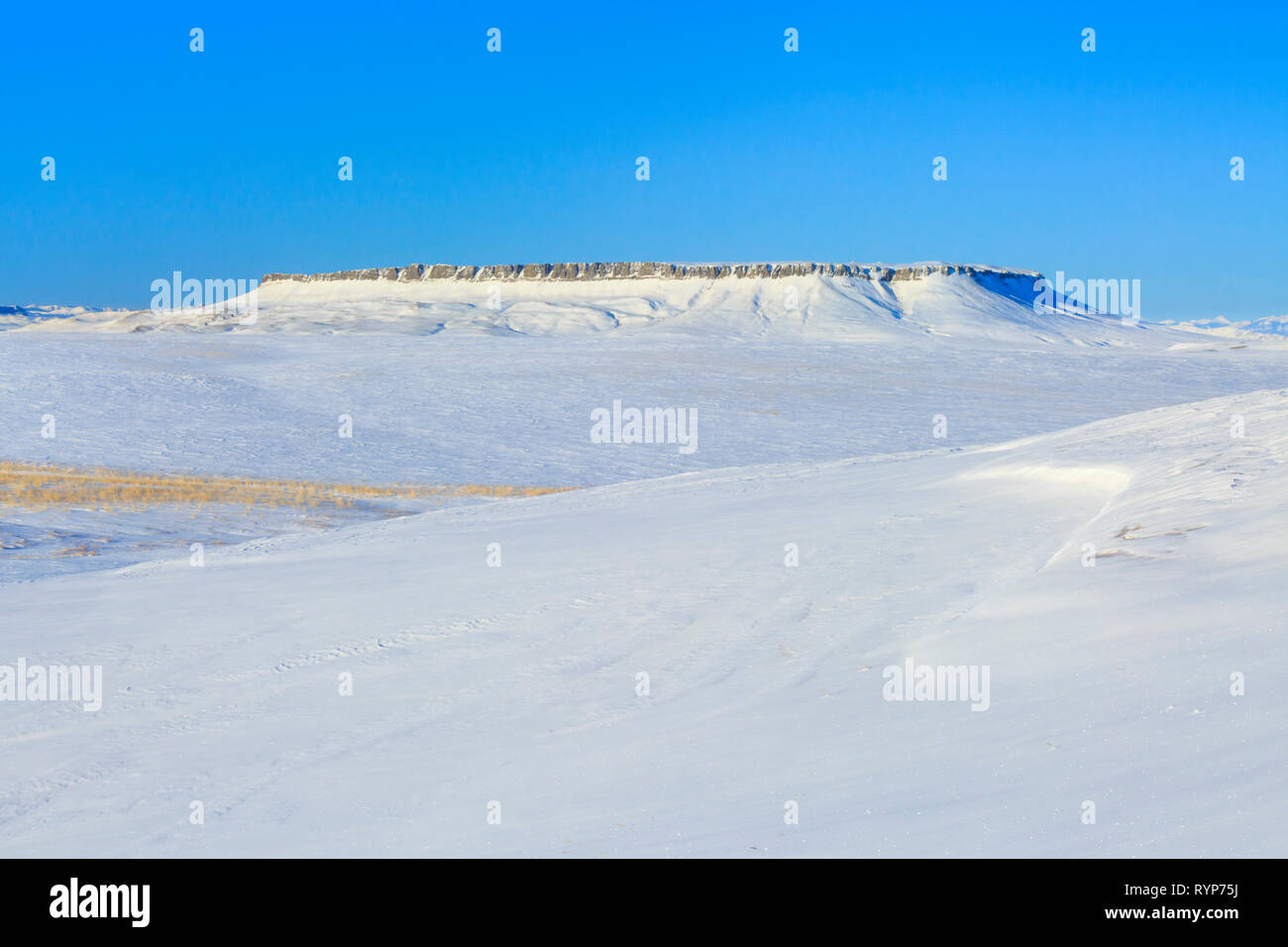 Coperte di neve sulle colline della prateria sotto square butte vicino a Ulm, montana Foto Stock
