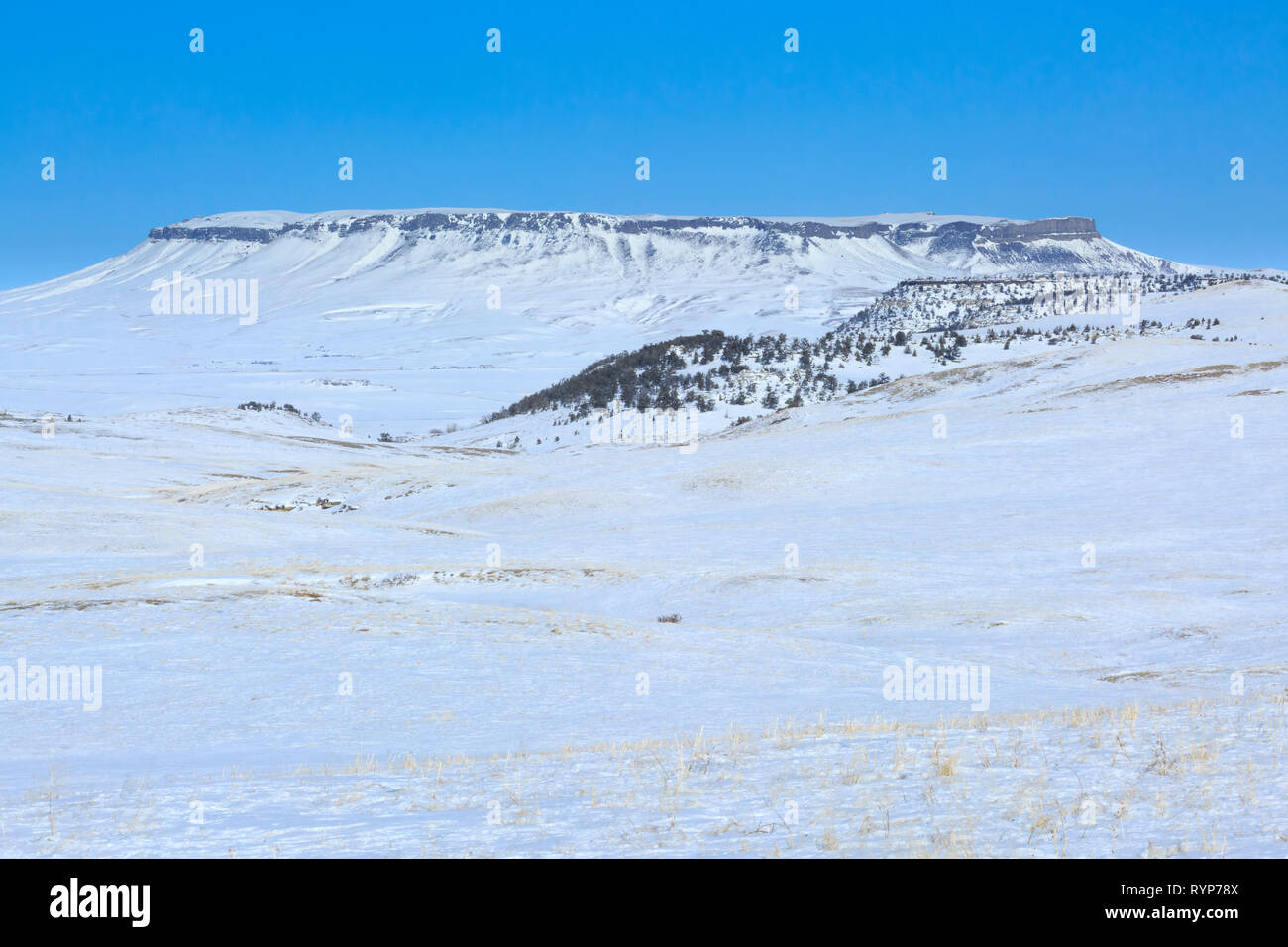 Coperte di neve sulle colline della prateria sotto square butte vicino a Ulm, montana Foto Stock
