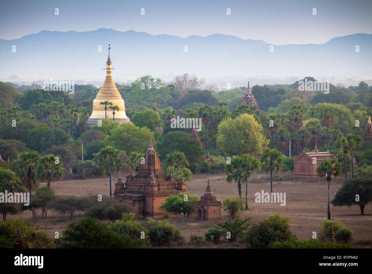 Il paesaggio e i templi di Bagan, Myanmar Foto Stock