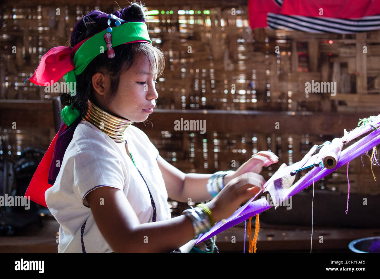 Un Padaung a collo lungo la donna con anelli intorno al collo, Myanmar Foto Stock