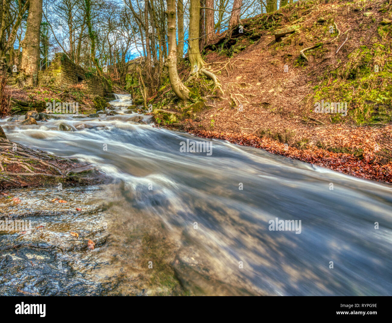 Bentley Brook, Lumsdale Valley, Matlock, Derbyshire, Regno Unito. Il 14 marzo 2019. Regno Unito Previsioni del livello di acqua alta a Bentley Brook nella valle Lumsdale perfetto per la spettacolare lenta velocità di balbettare fotografia HDR. Credito: Doug Blane/Alamy Live News Foto Stock