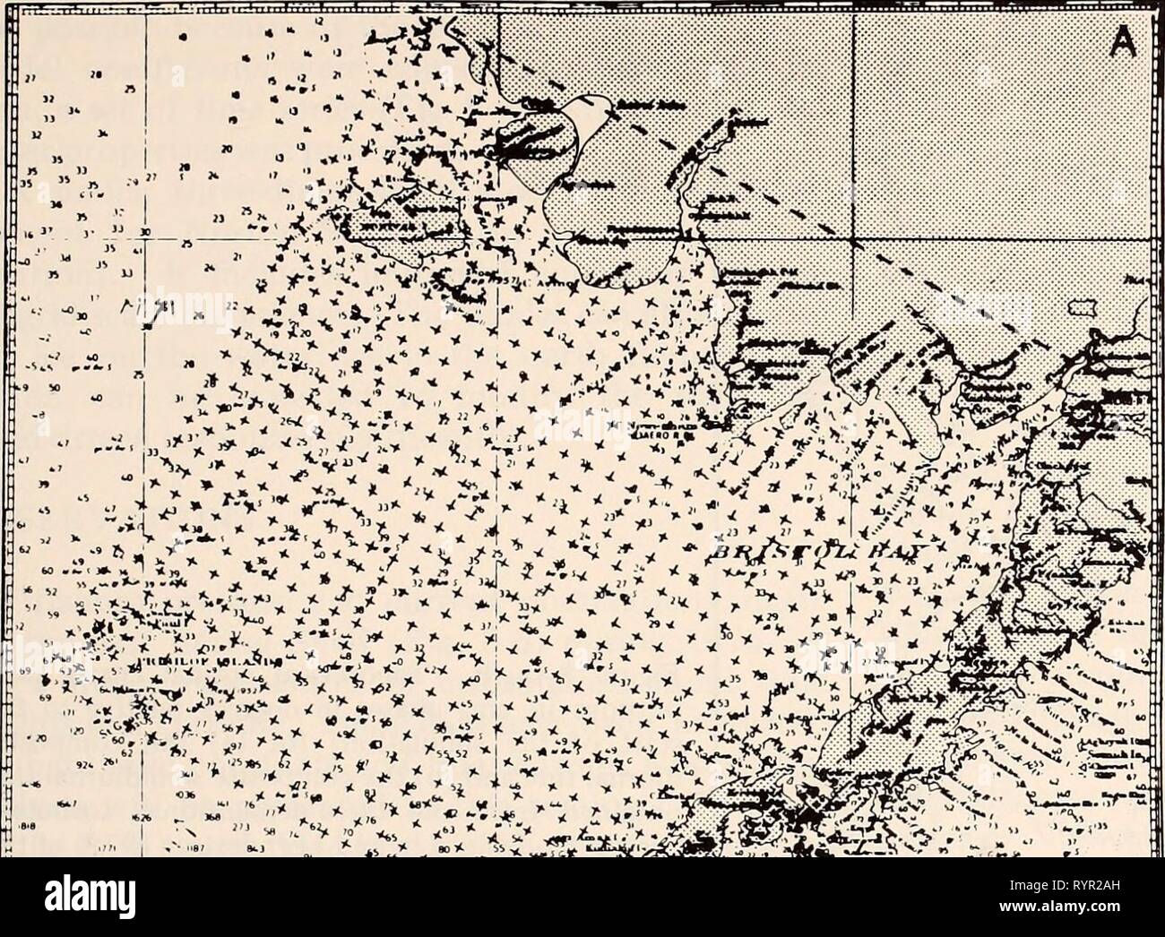 La parte orientale del Mare di Bering ripiano la parte orientale del Mare di Bering ripiano : oceanografia e risorse / a cura di Donald W. cofano e John A. Calder . easternberings00cofano Anno: 1981 170' 165' 160' 60* 55-i %%%%%%%%.  ^-^-" "C^". . '^Â£^â"'^i&GT;p!^^ â ^^â &gt;^c--^-^.- âM., figura 8-3a, b. (A) La griglia orizzontale e (b) una vista in sezione che mostra la griglia verticale della tridimensionale, energia turbolenta modello del sud- orientale ripiano di Bering da Liu e Leendertse (1978, 1979). La hori- orizzontale la spaziatura della griglia è di 21.82 km; la spaziatura verticale in questo 14-layer model è variabile per consentire ad alta risoluzione nel Foto Stock