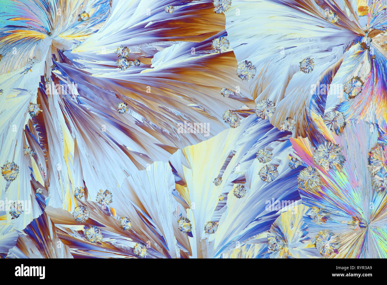 Chimica e tecnica. Cristalli di conservante alimentare chiamato acido citrico, una immagine al microscopio. Foto Stock