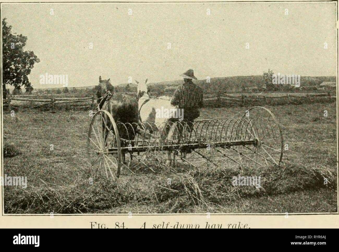 Agricoltura elementari (1915) elementare agricoltura . elementaryagricu00nida Anno: 1915 il fieno CEOP 159 girato con l'aratro presentano guadagni nelle colture che seguono, a causa della quantità extra di azoto a sinistra dietro. Il trifoglio rende un ideale il fieno per il bestiame e la posizione in cui è sollevata, si dovrebbe fare fino a metà o più della crusca di le mucche da latte. Gli ovini e i giovani stock per rendere eccellente la crescita su fieno trifoglio o il pascolo di trifoglio. Come ottenere un cavalletto. Dove il suolo è stato consumato da molti raccolti viene prelevato e nessun alimento vegetale o humus rimettere, trifoglio rosso non crescono spesso. Al fine di portare tali reti LAN Foto Stock
