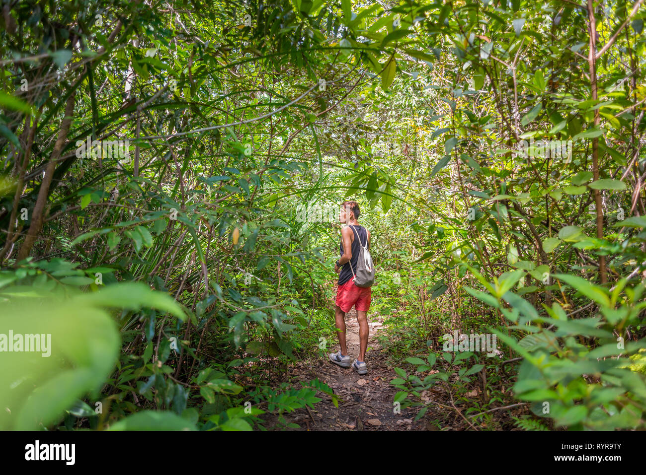 Giovane uomo cammina lungo il percorso nelle boscaglie tropicali che indossano pantaloncini, serbatoio superiore sneakers e una luce nello zaino. Escursionista in un parco nazionale. Krabi, Thailandia. Foto Stock