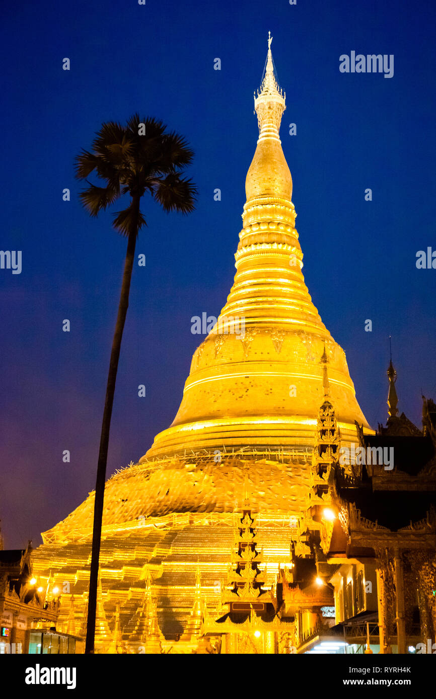 Il golden minareti di Schwedagon Pagoda di notte, Myanmar Foto Stock