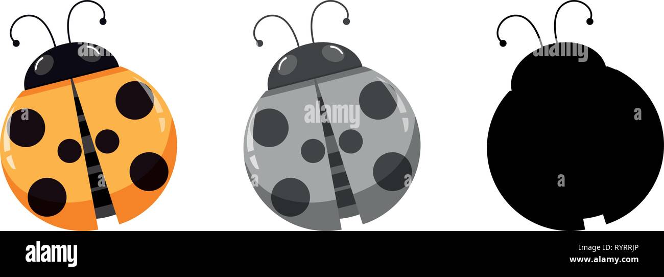 Set di caratteri coccinella illustrazione Illustrazione Vettoriale