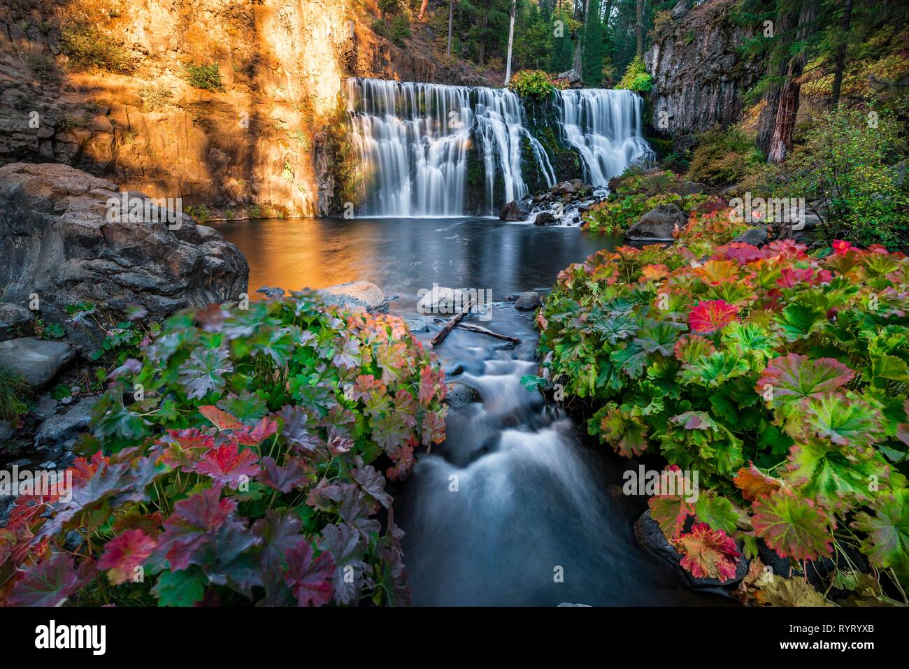 Medio scende, cadono cascata, McCloud River, Siskiyou County, California, Stati Uniti d'America Foto Stock