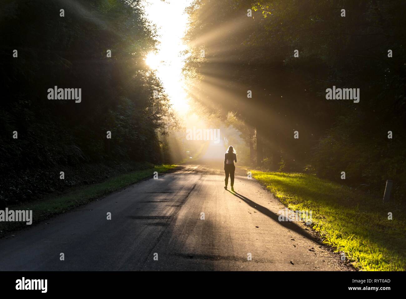 Giovane donna a camminare su una strada, la luce del sole che splende attraverso gli alberi, Oregon Coast Highway, Oregon, Stati Uniti d'America Foto Stock