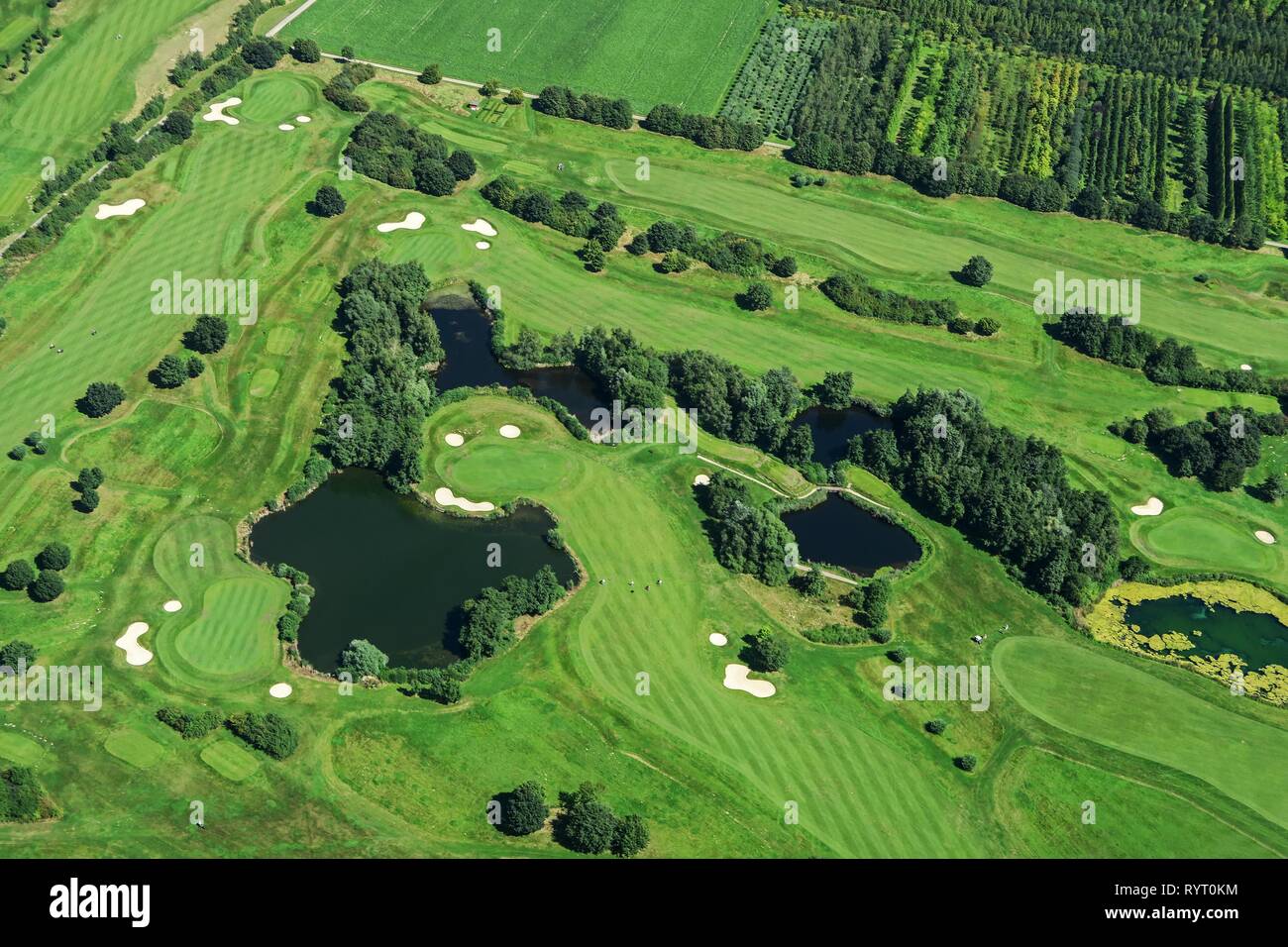 Area verde con stagni sul campo da golf, Krefeld, Germania Foto Stock