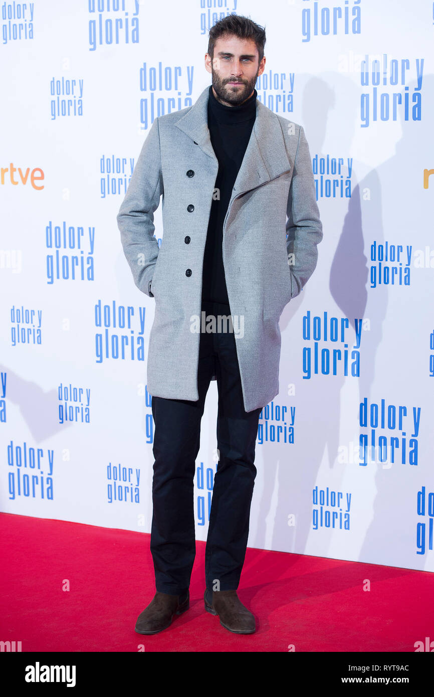 Madrid, Spanien. 13 Mar, 2019. Fernando Guallar presso la premiere del film 'Dolor y Gloria/dolore & Gloria' presso il Cine Capitol. Madrid, 13.03.2019 | Utilizzo di credito in tutto il mondo: dpa/Alamy Live News Foto Stock