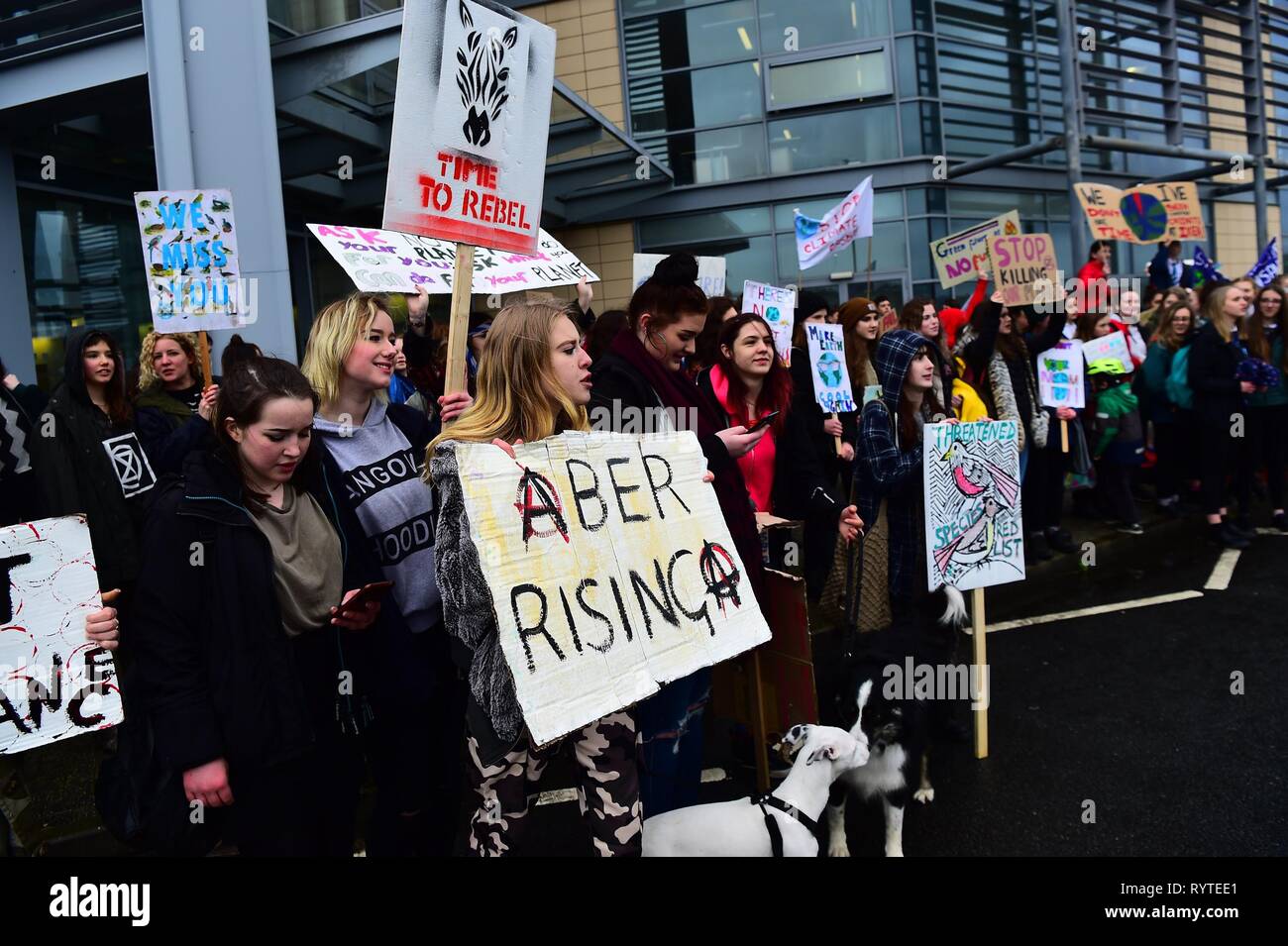 Aberystwyth Ceredigion Wales UK, venerdì 15 marzo 2019. Gli alunni dalla locale scuola secondaria di prendere parte alla seconda UK-wide 'scuola strike 4 clima", protestando al di fuori degli uffici del consiglio locale in Aberystwyth Wales Photo credit: keith morris/Alamy Live News Foto Stock