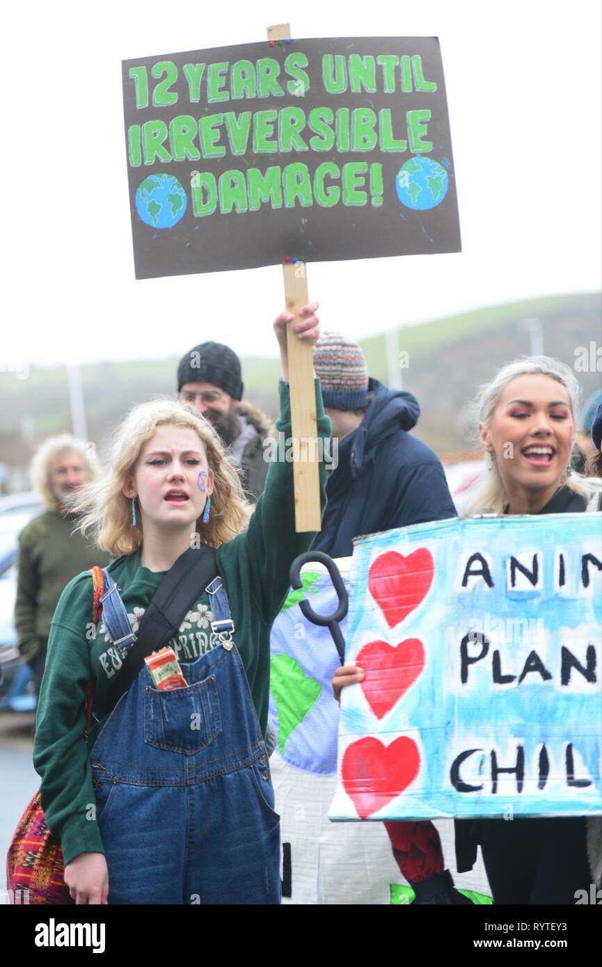 Aberystwyth Ceredigion Wales UK, venerdì 15 marzo 2019. Oltre 300 alunni provenienti da vari enti locali scuole secondarie di prendere parte alla seconda UK-wide 'scuola strike 4 clima", protestando al di fuori degli uffici del consiglio locale in Aberystwyth Wales Photo credit: keith morris/Alamy Live News Foto Stock