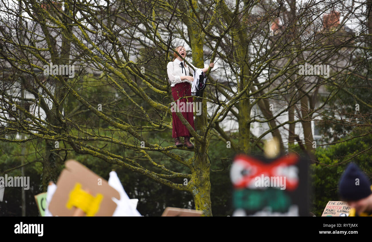 Brighton, Regno Unito. Xv Mar, 2019. Uno studente si arrampica su un albero per fare un punto come migliaia di studenti gli allievi e i genitori marzo attraverso la Brighton che prendono parte alla seconda giovinezza Strike 4 clima oggi protesta come parte di una coordinata giornata di azione globale. Migliaia di scolari e studenti sono impostati per andare in sciopero a 11am oggi come parte di un global youth action protesta contro il cambiamento climatico Credito: Simon Dack/Alamy Live News Foto Stock
