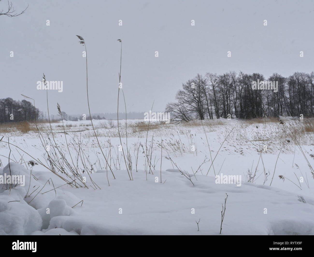Rurali paesaggio invernale, cumuli di neve e tempesta di neve Foto Stock