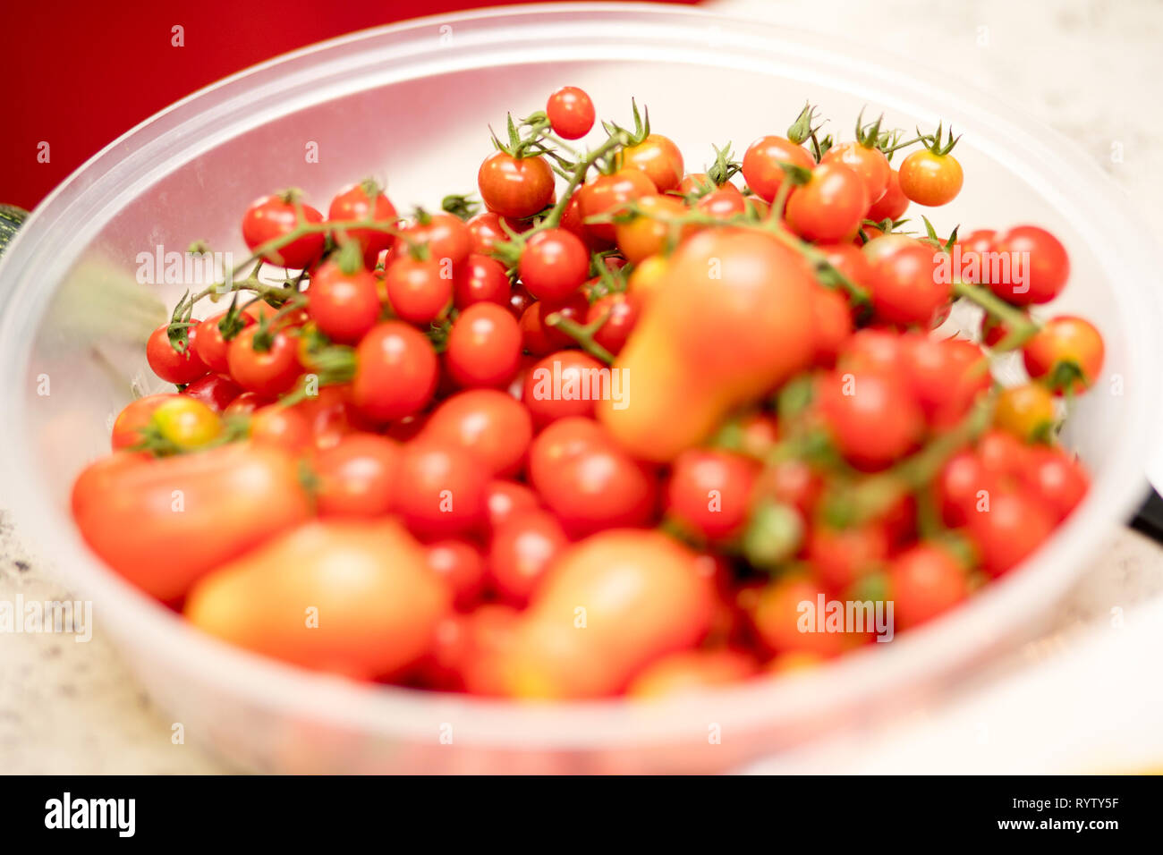 Pomodoro ciliegino su una tazza Foto Stock