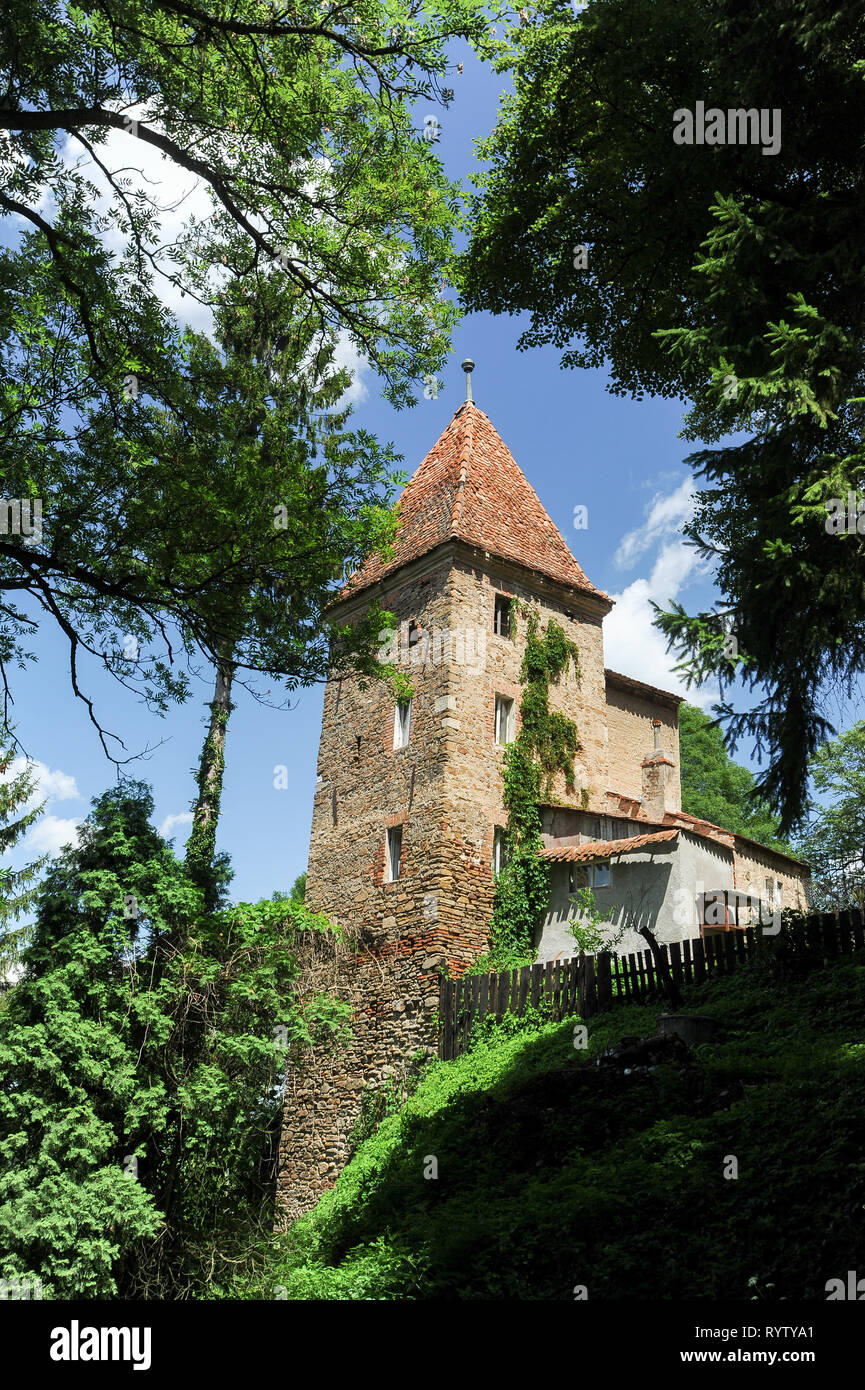 Turnul gotico Franghierilor (l' Ropemakers Torre) costruita nel 1350 sulla collina School di Cetatea Sighisoara (fortificato centro storico di Sighisoara) bu Foto Stock