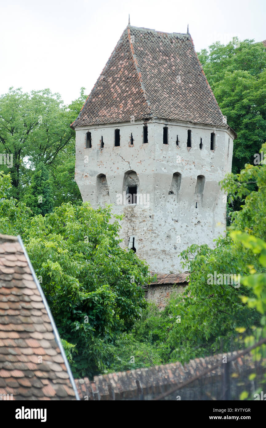 Turnul gotico Cositorilor (stagnaio torre) sulla collina School di Cetatea Sighisoara (fortificato centro storico di Sighisoara) costruito nel XII secolo da Foto Stock