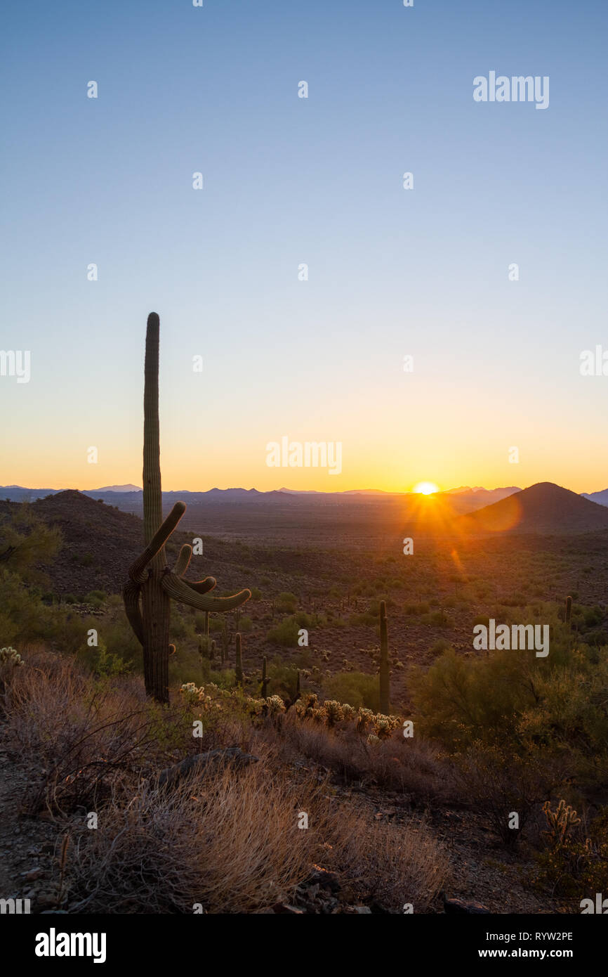 Il sorgere del sole sopra il deserto dell'Arizona con i quattro picchi nel lontano e sullo sfondo di un cielo blu chiaro. Foto Stock