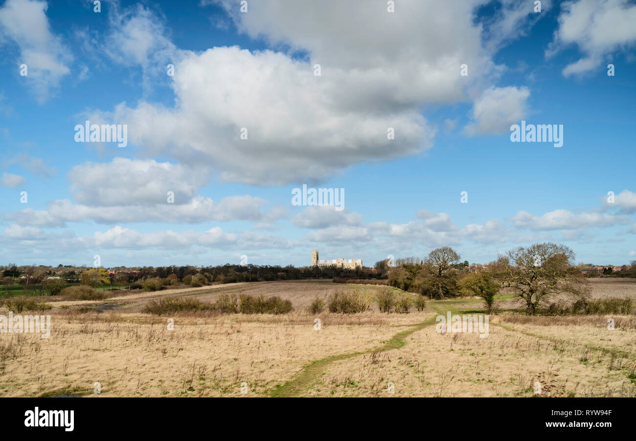Vista attraverso il paesaggio agricolo e di un parco con alberi secolari e antiche minster sull orizzonte in primavera a Beverley, Yorkshire. Foto Stock