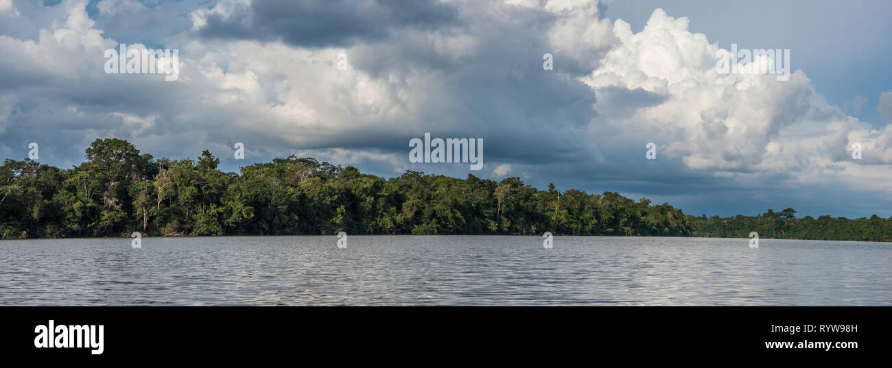 Vista panoramica della laguna Coati vicino al fiume Javari, tributario del fiume Rio delle Amazzoni, Amazonia. Selva sul confine del Brasile e Perù. Sud Ameri Foto Stock