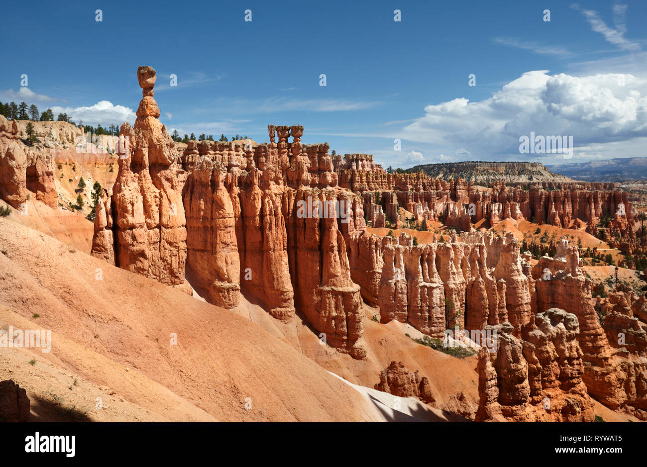 Il Thor del martello, il Parco Nazionale di Bryce, Utah, Stati Uniti d'America. Foto Stock