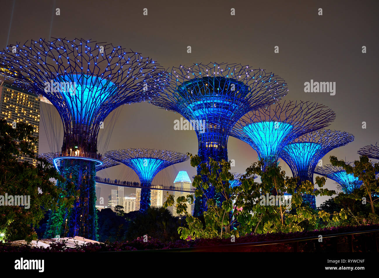 Nella foto è giardini dalla baia di Supertrees a Singapore Foto Stock