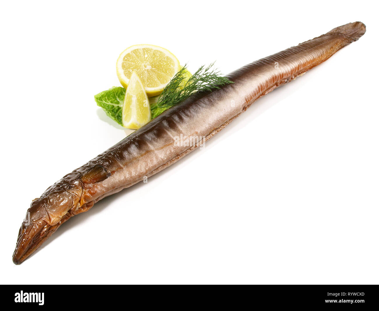 Anguilla affumicata - pesce intero su sfondo bianco Foto Stock