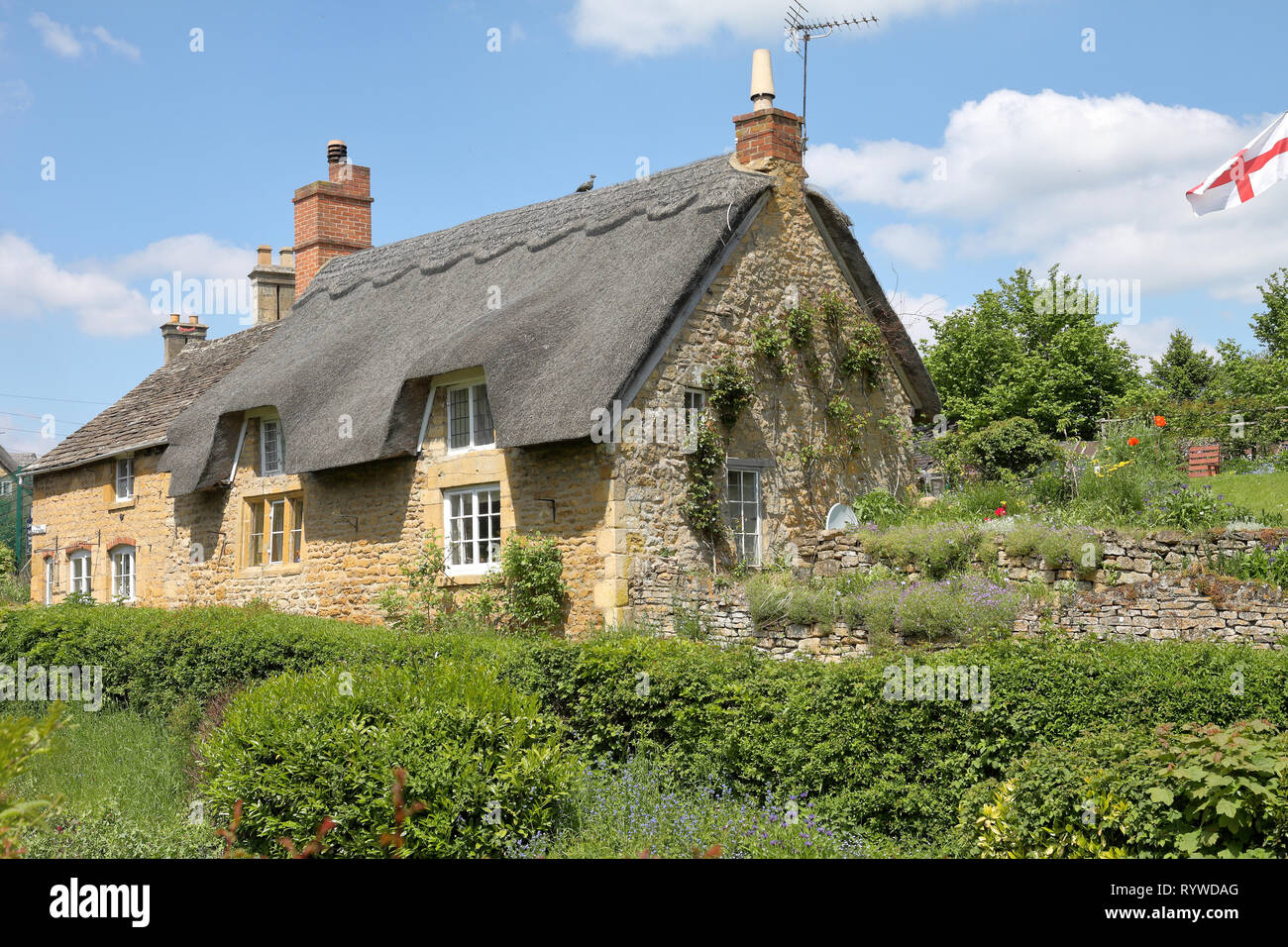 Tradizionale Cotswold cottage con tetto in paglia e un giardino con piante rampicanti sulla parete Foto Stock