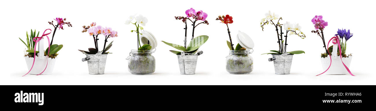 Enorme Vaso con fiori finti isolato su bianco Foto stock - Alamy