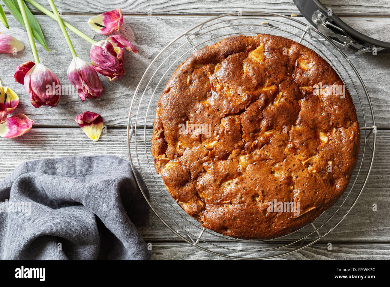 Appena sfornato odore deliziosa torta di mele charlotte si raffredda in un reticolo su di un tavolo di legno. Vegan la torta di mele senza uova senza burro, vista dall'alto Foto Stock