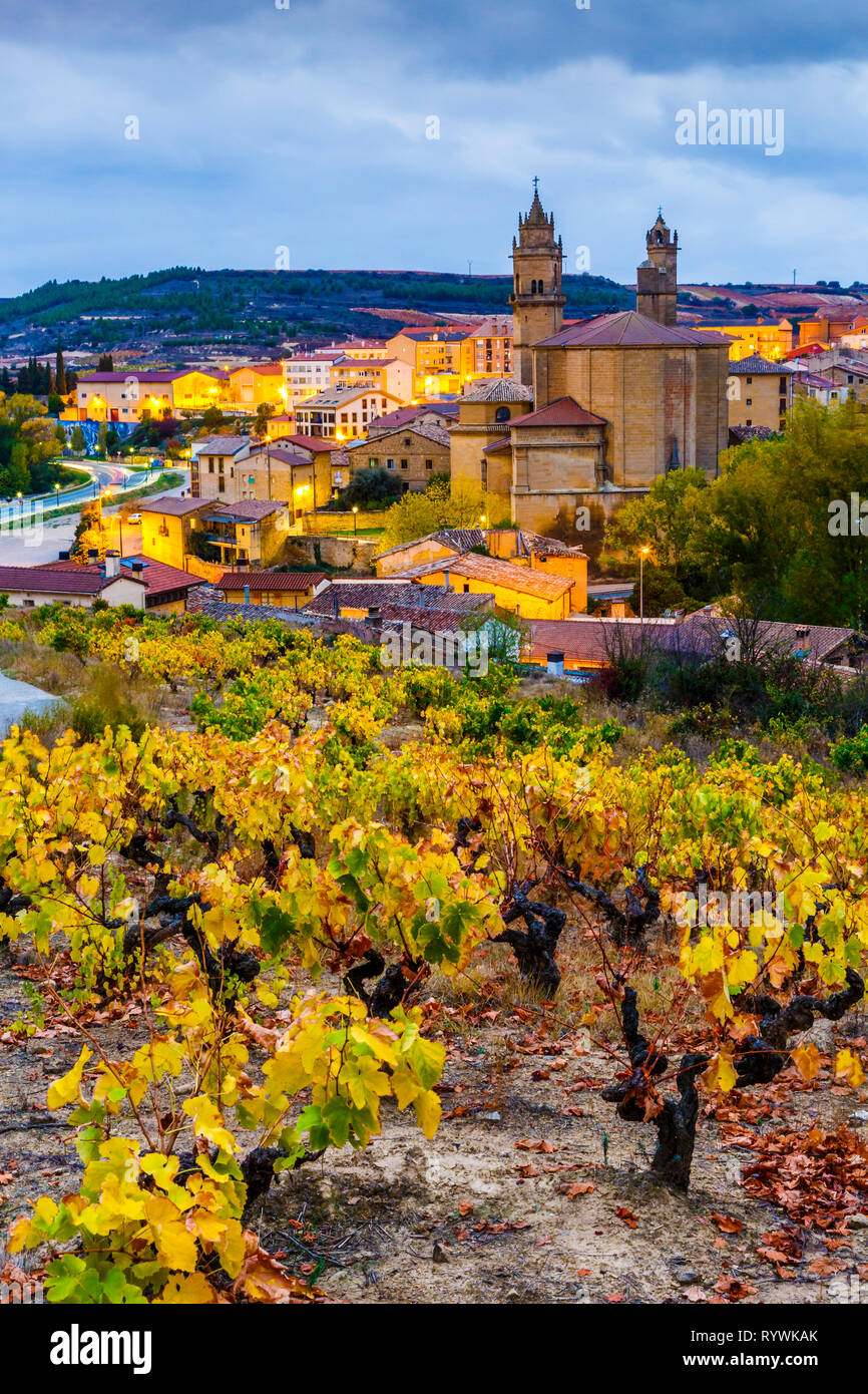 Vigneti in autunno. Foto Stock