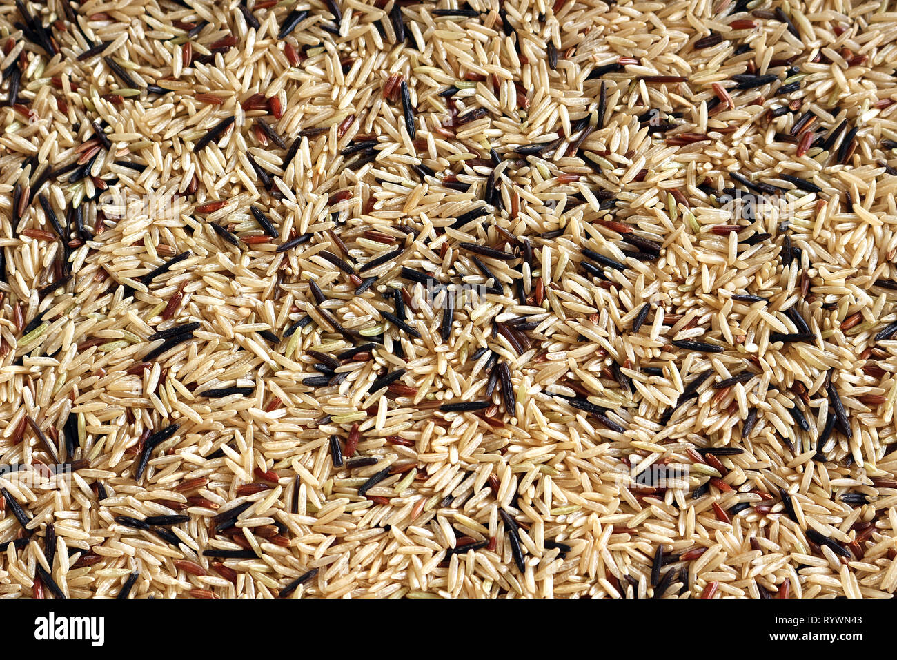 Riso Basmati marrone, rosso Camarque e riso selvatico. Close up Texture di sfondo. Foto Stock