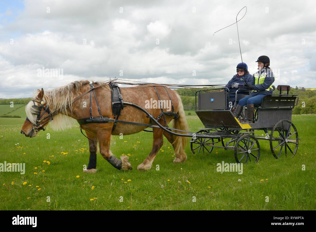 La guida carrello gestito dall'equitazione per disabili Associazione, Marlborough Downs, Wiltshire, Regno Unito. Foto Stock