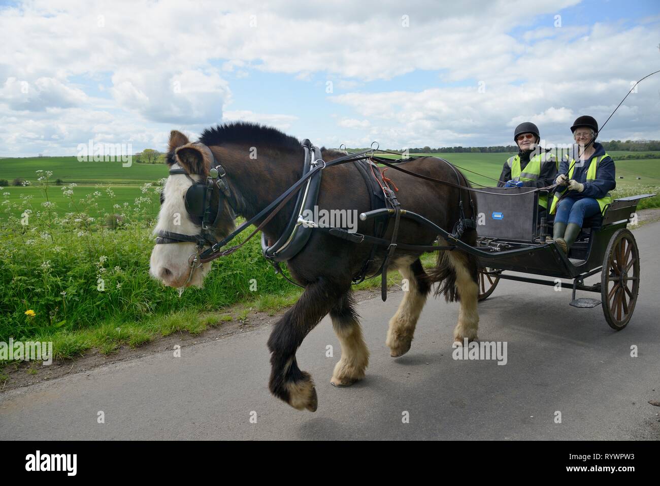 La guida carrello gestito dall'equitazione per disabili Associazione, Marlborough Downs, Wiltshire, Regno Unito. Foto Stock