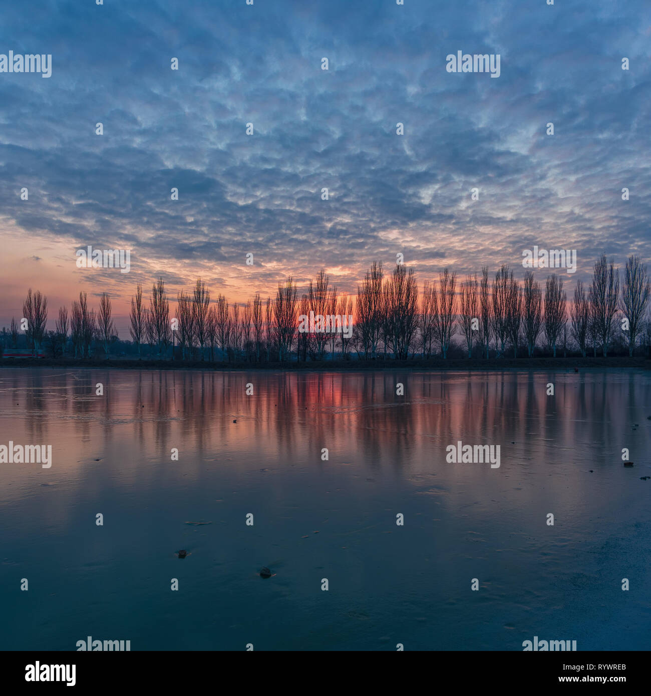 Sera paesaggio invernale con alberi di pioppo alley, luminoso Nuvoloso Tramonto sul fiume congelato lago in Kriviy Rih, Ucraina Foto Stock