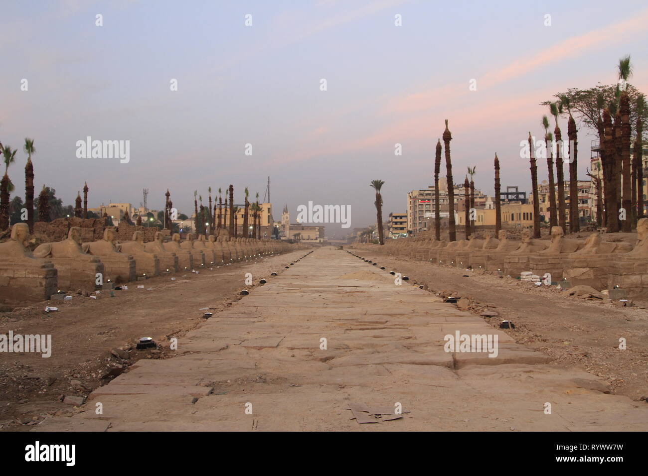 Viale delle Sfingi vicino al tramonto, Tempio di Luxor, Luxor, l'Alto Egitto Foto Stock