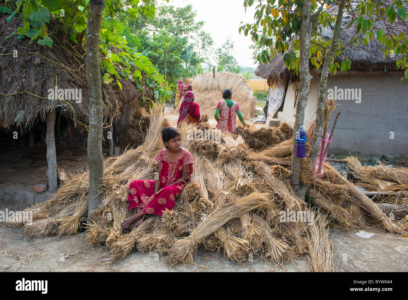 DAYAPUR, SUNDARBANS, INDIA. Dicembre 7-2015. Ragazza seduta su un fiocco di paglia di riso di fronte alla sua casa durante la stagione del raccolto Foto Stock
