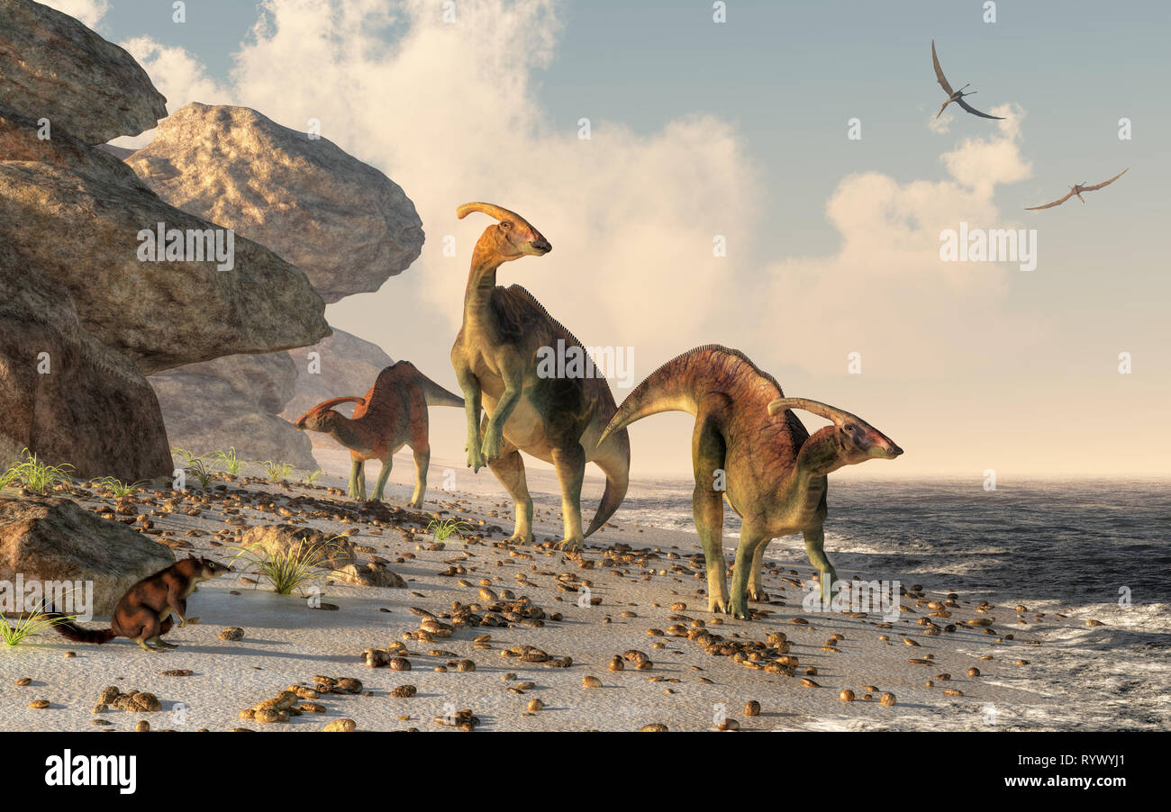 Tre parasaurolophus riposare su una spiaggia di roccia. Pterasaurs volare sopra la testa e un piccolo mammifero orologi dinosauri come essi meandro lungo il bordo dell'acqua Foto Stock
