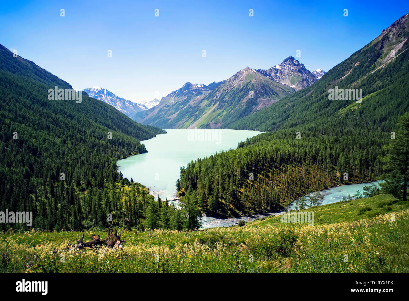 Lago Kucherlinskoe, ampia prospettiva, Altai, Federazione russa. tonica foto. Bel paesaggio senza persone. Bella e verde lago di montagna situato Foto Stock