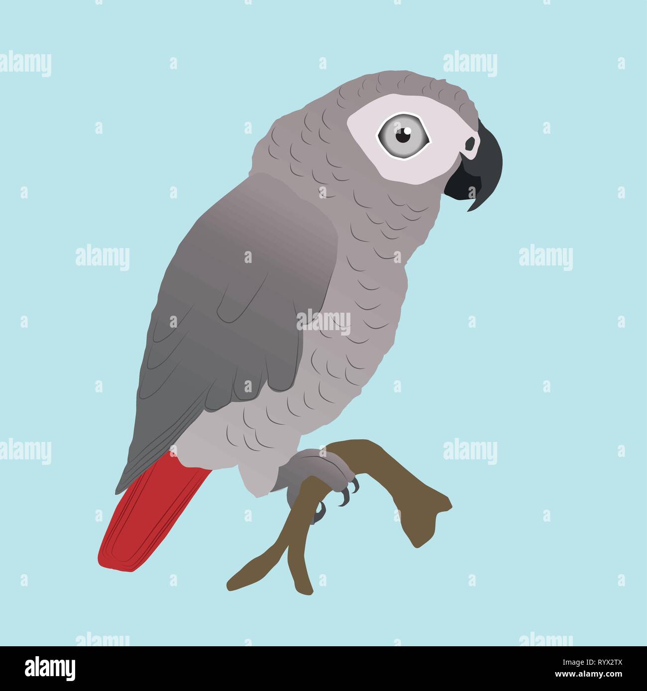 Una illustrazione vettoriale di un simpatico pappagallo grigio africano Illustrazione Vettoriale