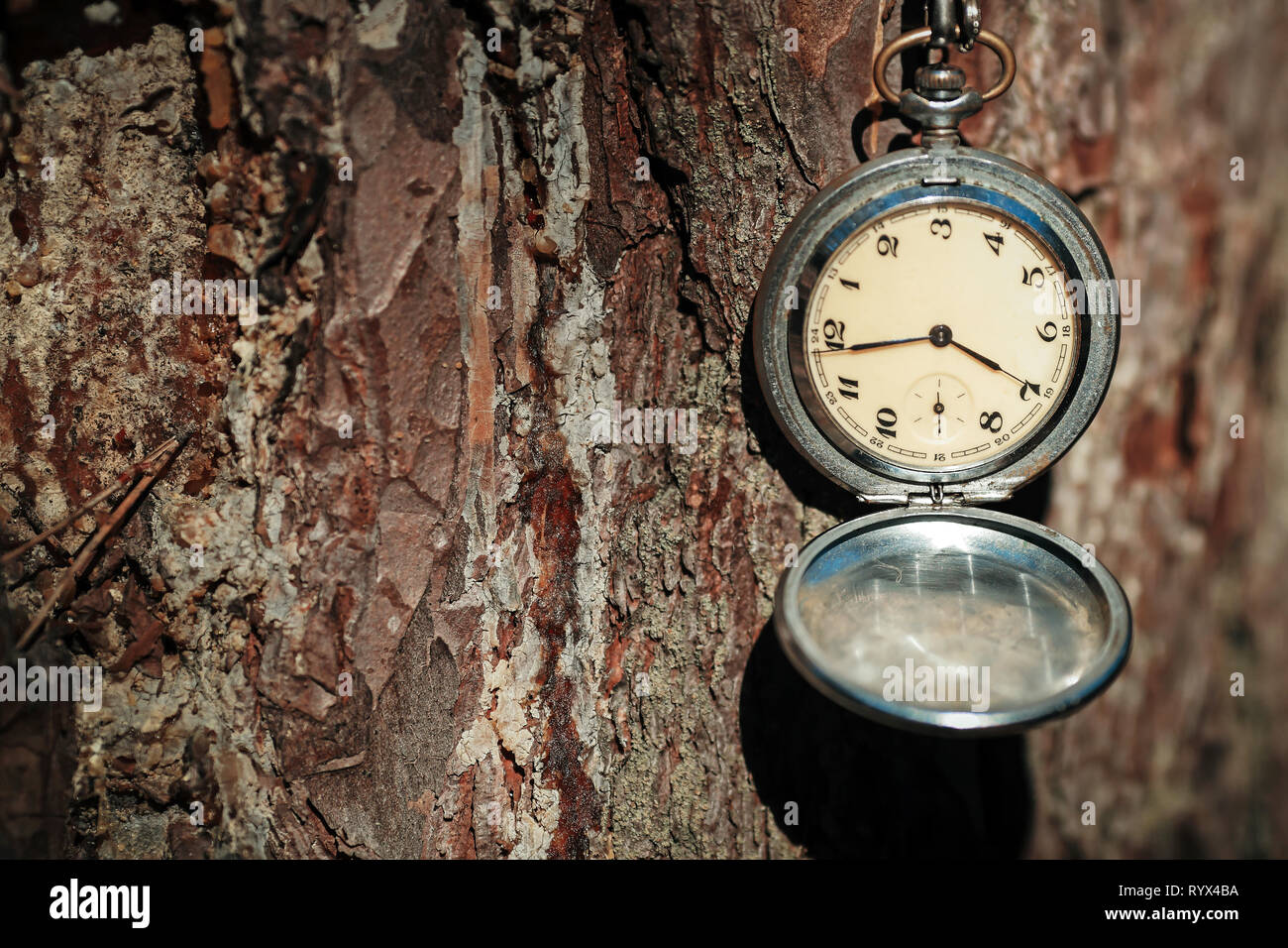 Orologio retrò su una fune su un bellissimo sfondo Foto Stock