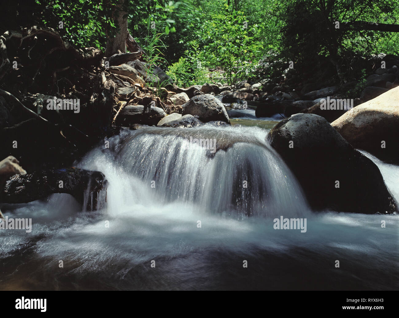 Stati Uniti d'America. In Arizona. Oak Creek Canyon. Cascata. Foto Stock