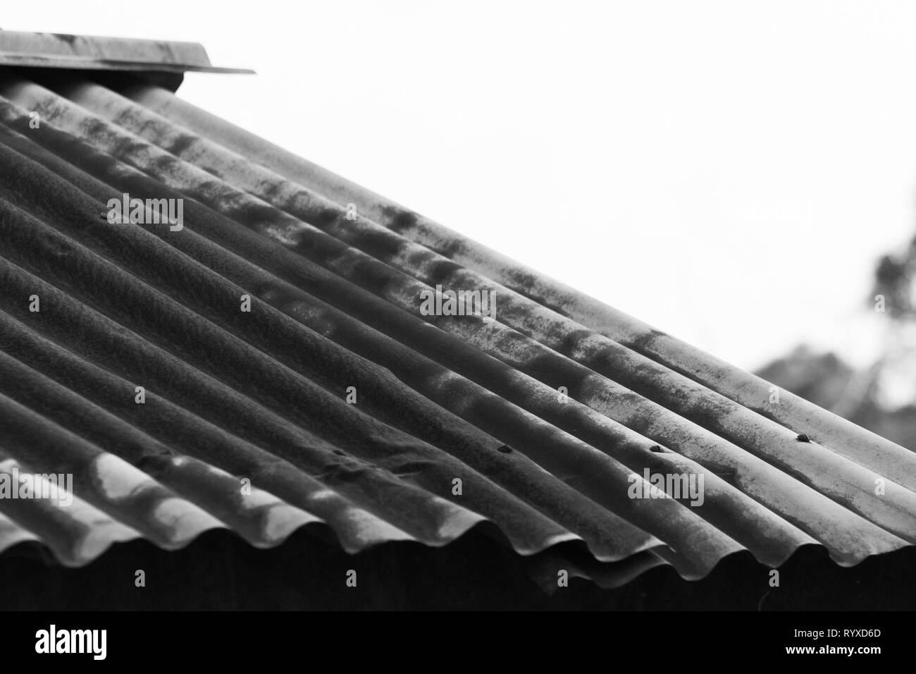 Immagine in bianco e nero di arrugginita ferro corrugato tetto Foto Stock
