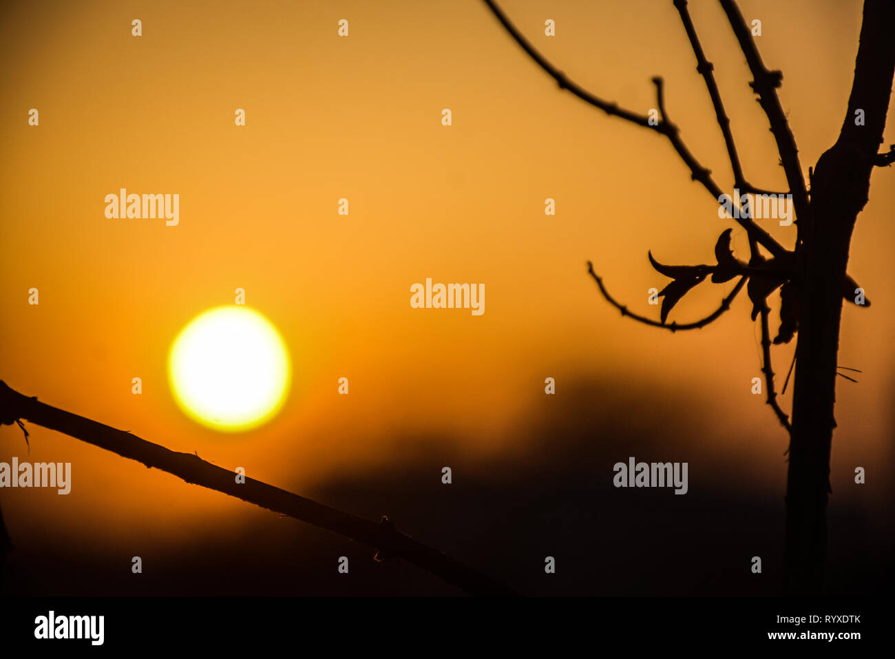 Blured tramonto Foto Stock